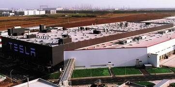 消息稱特斯拉上海工廠今年擬生產1.74萬輛model 3