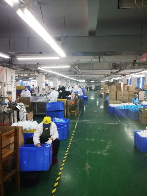 城市復(fù)蘇了 圖片發(fā)自廣州