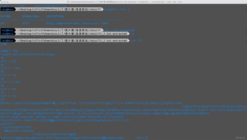 ctfshow 圖片篇 信息附加