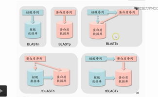 生物信息學(xué)課程