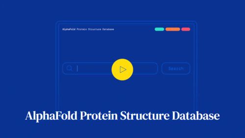 日本誕生最高網速 首次全球云上轉播奧運會