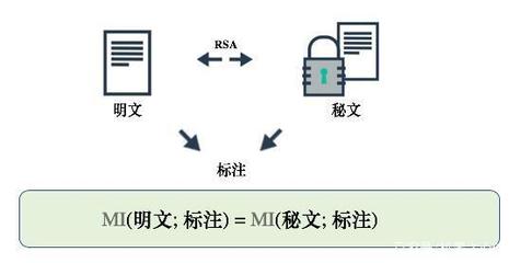 北大圖靈班本科生滿分論文 計算約束下有用信息的信息論
